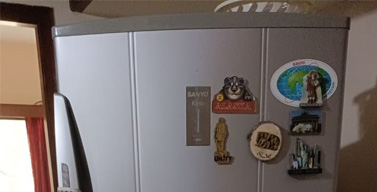 Refrigerator Water Leakage Repair (Double Door Non-Inverter Fridge)