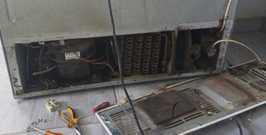 Refrigerator Noise Issue Repair (Other Fridges)